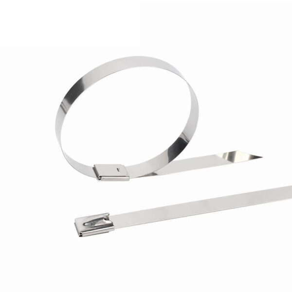 two stainless cable ties